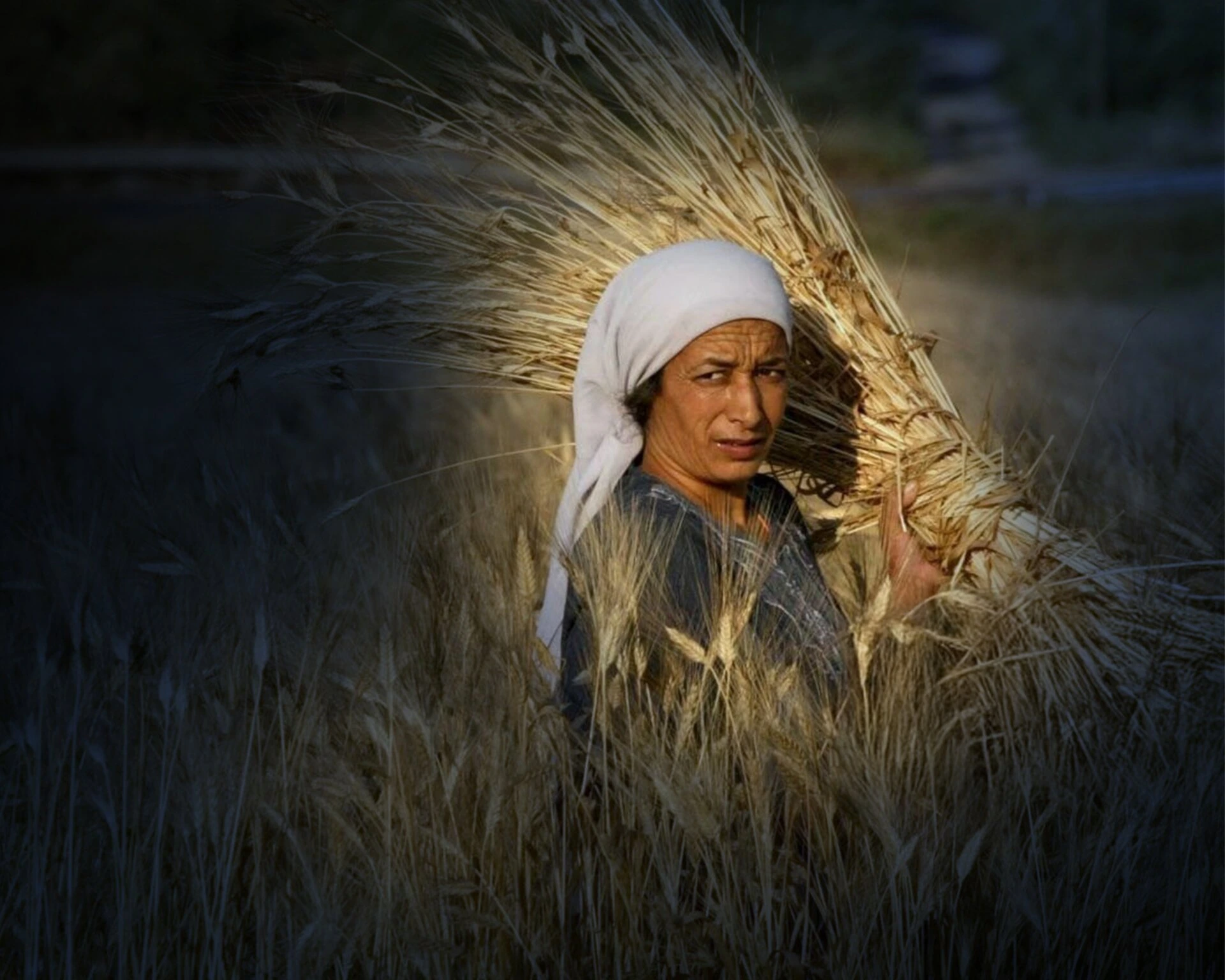 400,000+ Lives Impacted